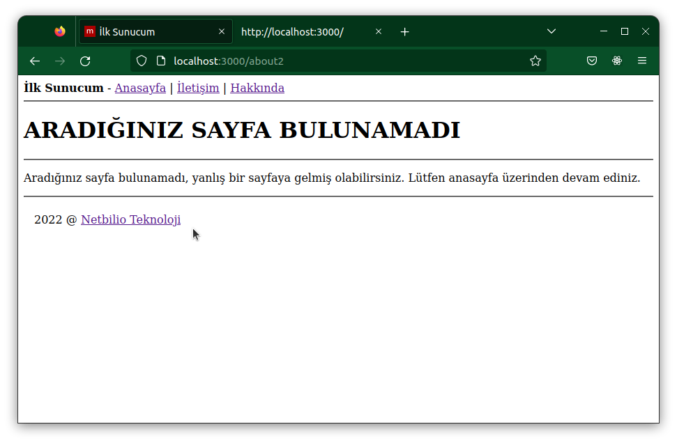 Sayfa Bulunamadı