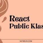 React Public Klasörü