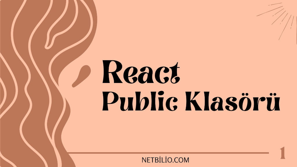 React Public Klasörü