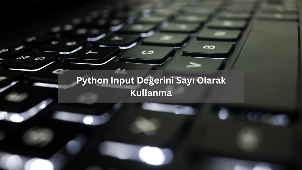 Python Input Değerini Sayı Olarak Kullanma