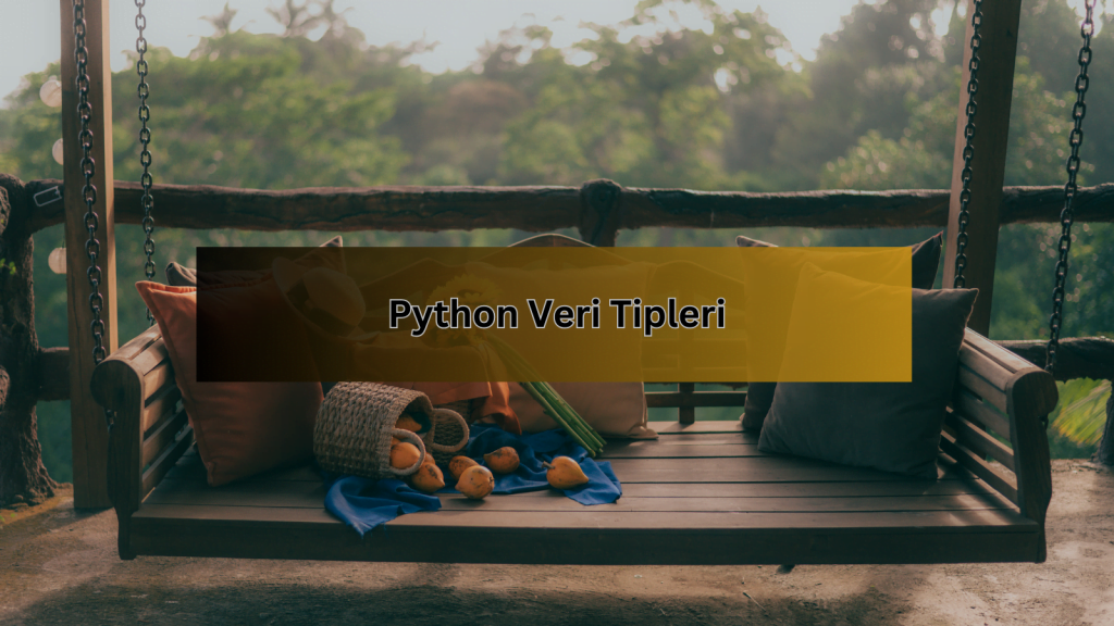 Python Veri Tipleri