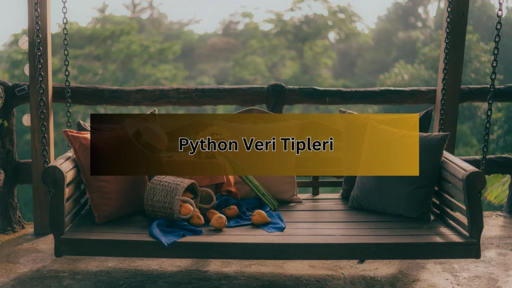 Python Veri Tipleri